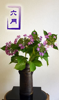 6月